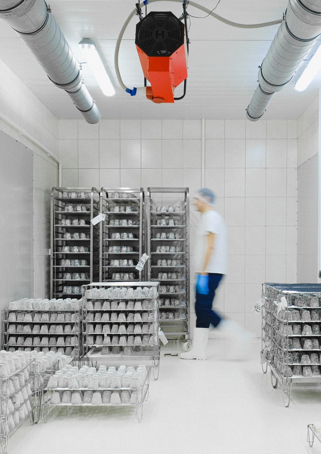 Cuarto frío con sistema de refrigeración instalado